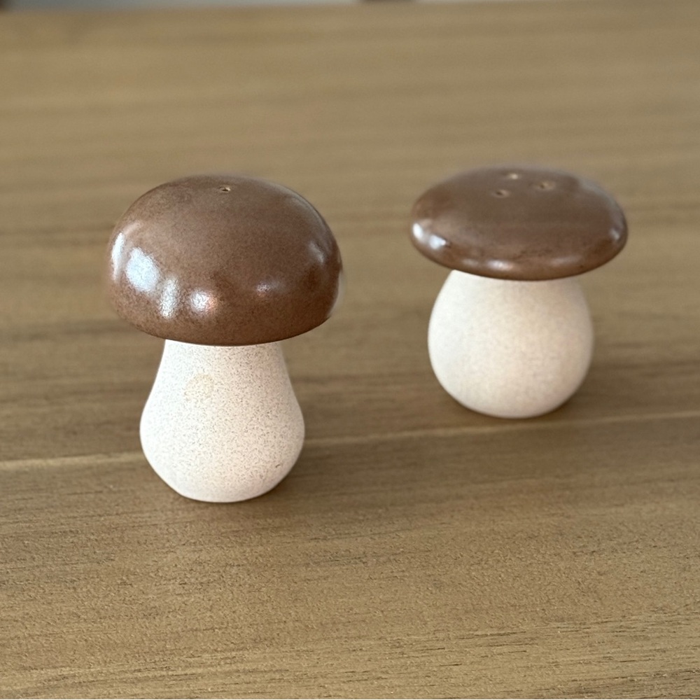 Brown and White Mushroom Salt and Pepper Shakers